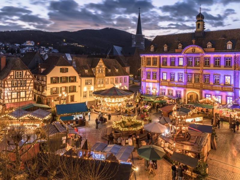 Pfaelzer Herzel Neustadt an der Weinstraße Esterno foto